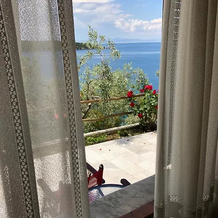 Panorama And *