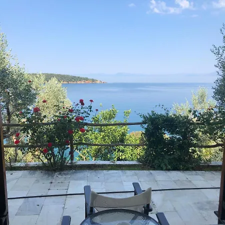 Panorama And Apartment